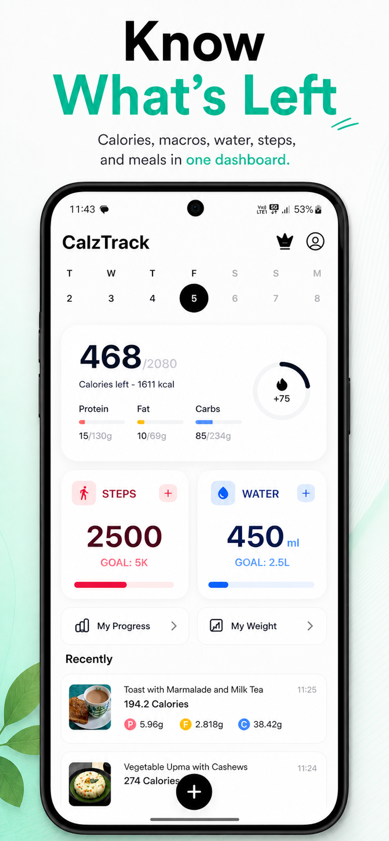 CalzTrack Progress